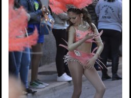 Carnaval de Mula 2014